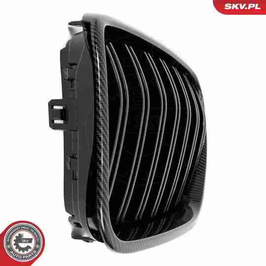 66SKV259 - Radiator Grille 