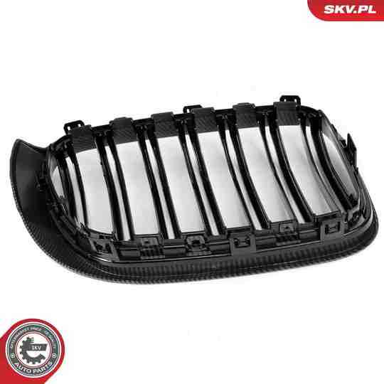 66SKV259 - Radiator Grille 