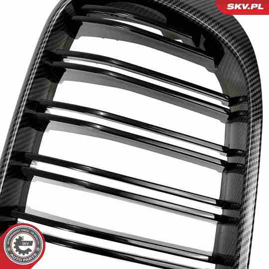 66SKV259 - Radiator Grille 