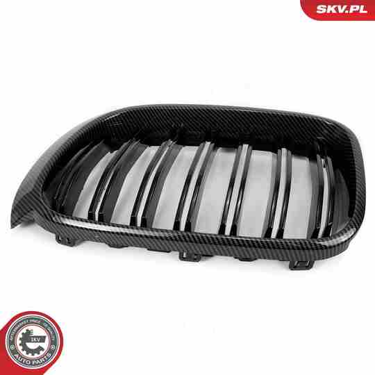 66SKV259 - Radiator Grille 