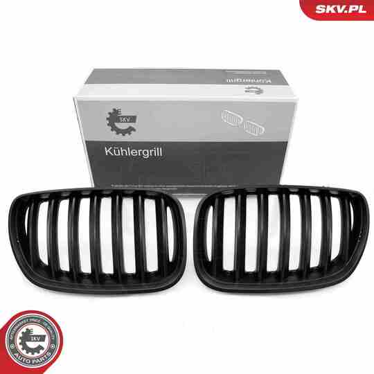 66SKV278 - Radiator Grille 