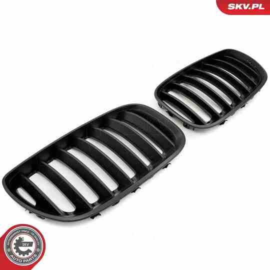 66SKV278 - Radiator Grille 