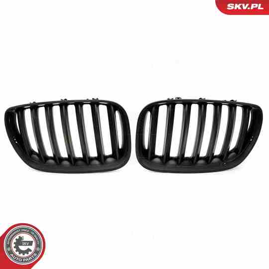 66SKV278 - Radiator Grille 