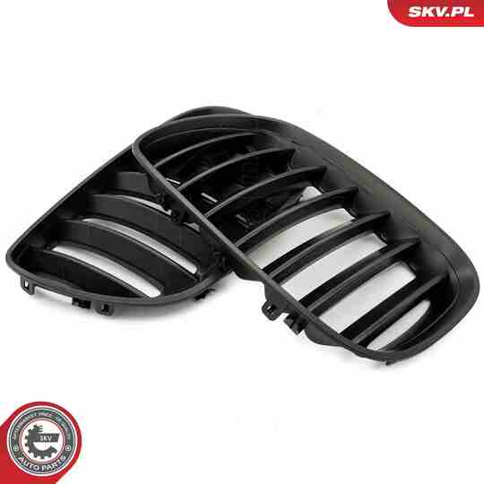 66SKV278 - Radiator Grille 