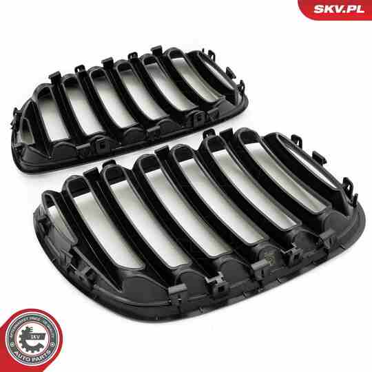 66SKV278 - Radiator Grille 