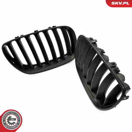 66SKV278 - Radiator Grille 