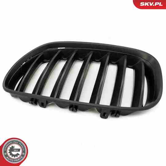 66SKV278 - Radiator Grille 