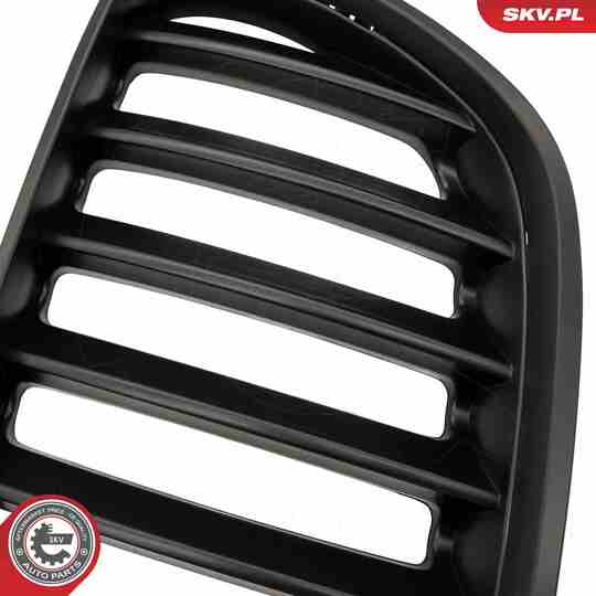 66SKV278 - Radiator Grille 