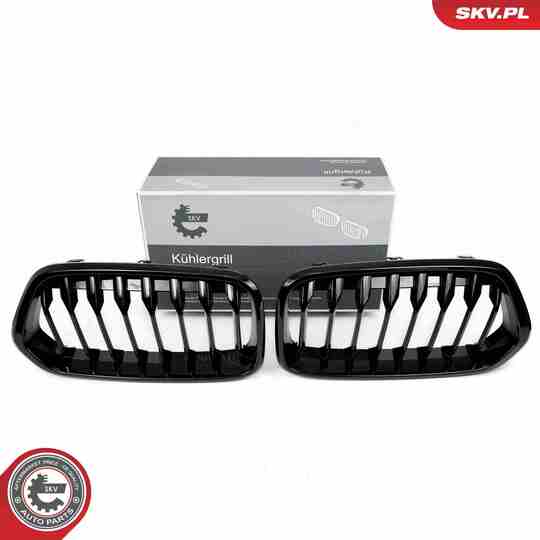 66SKV245 - Radiator Grille 