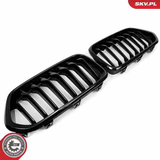 66SKV245 - Radiator Grille 