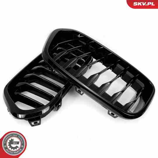 66SKV245 - Radiator Grille 