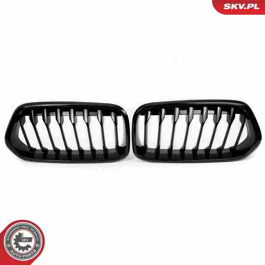 66SKV245 - Radiator Grille 