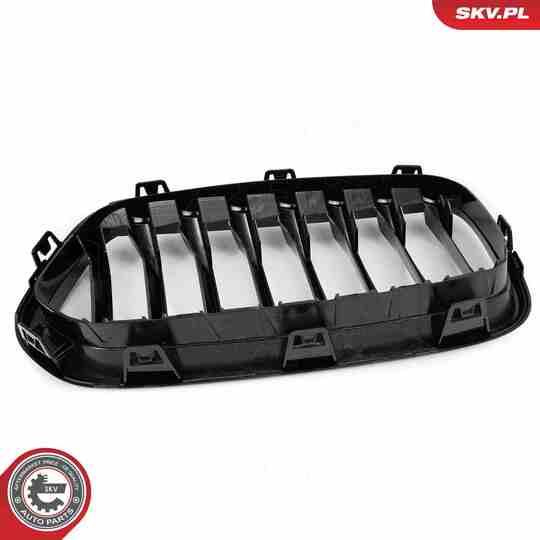 66SKV245 - Radiator Grille 