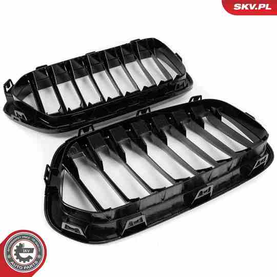 66SKV245 - Radiator Grille 