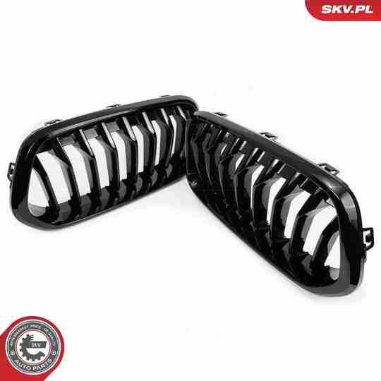 66SKV245 - Radiator Grille 