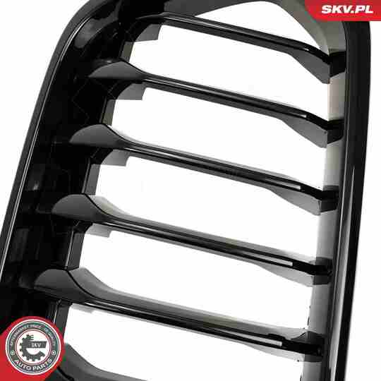 66SKV245 - Radiator Grille 