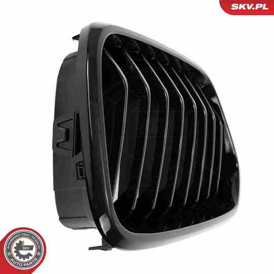 66SKV245 - Radiator Grille 