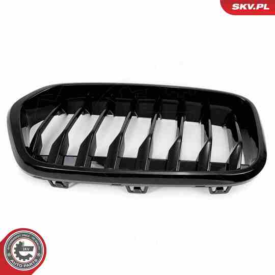 66SKV245 - Radiator Grille 