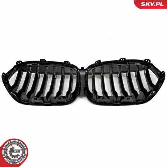 66SKV242 - Radiator Grille 