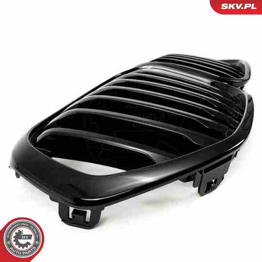 66SKV242 - Radiator Grille 