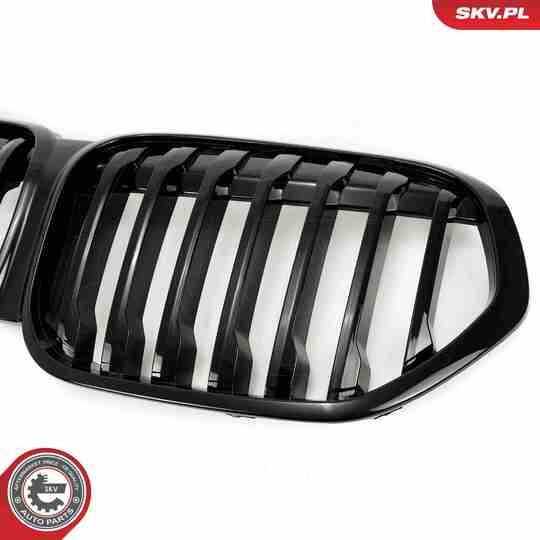 66SKV242 - Radiator Grille 