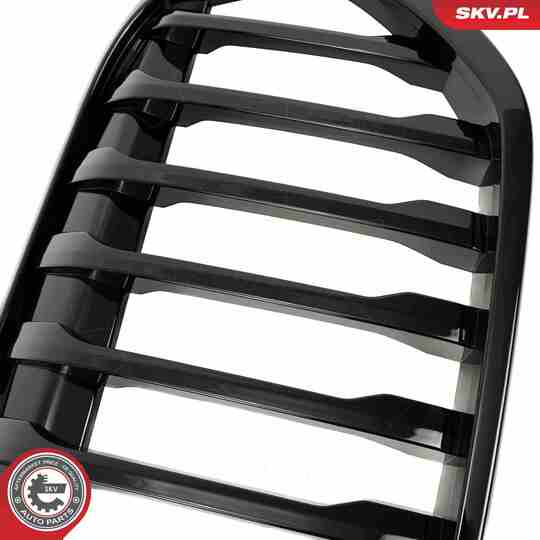 66SKV242 - Radiator Grille 