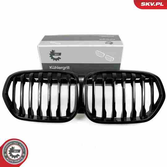 66SKV242 - Radiator Grille 