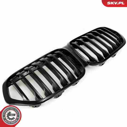 66SKV242 - Radiator Grille 