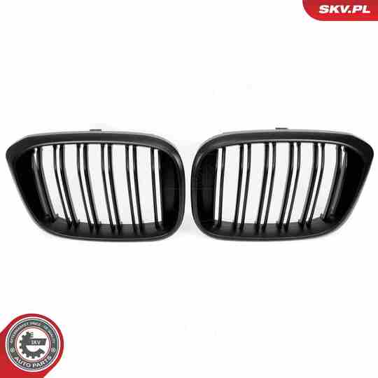 66SKV262 - Radiator Grille 