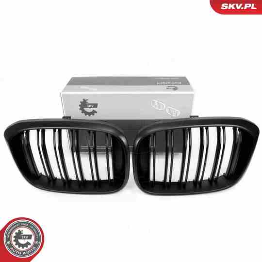 66SKV262 - Radiator Grille 