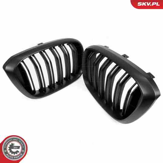 66SKV262 - Radiator Grille 