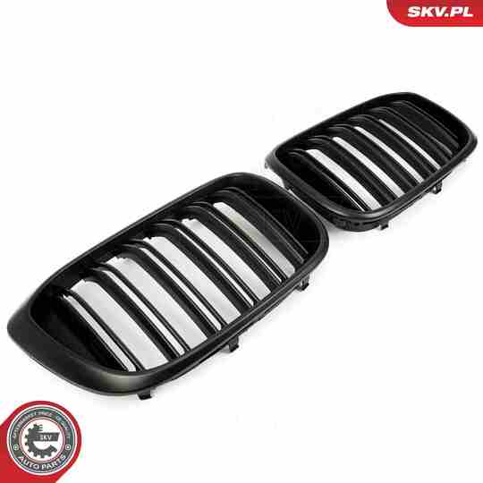 66SKV262 - Radiator Grille 