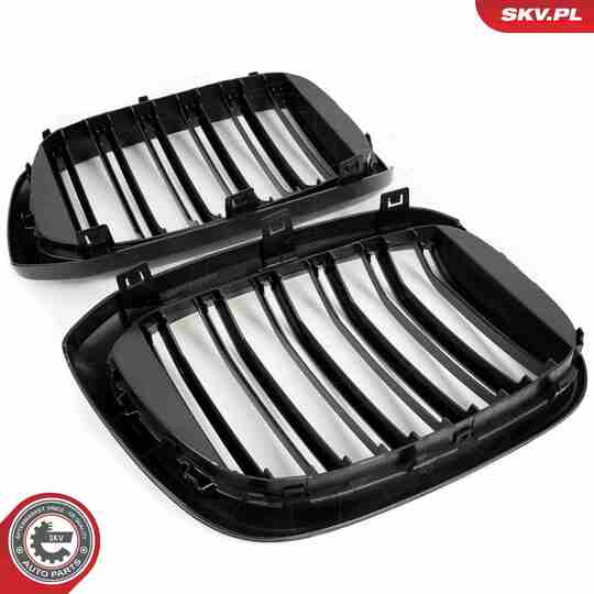 66SKV262 - Radiator Grille 