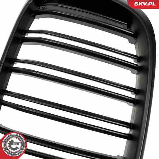 66SKV262 - Radiator Grille 