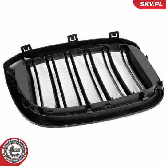 66SKV262 - Radiator Grille 