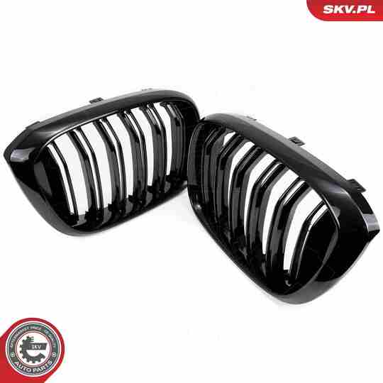 66SKV261 - Radiator Grille 