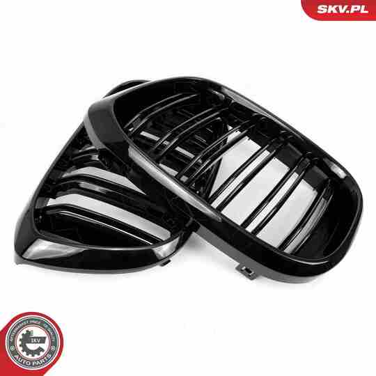 66SKV261 - Radiator Grille 