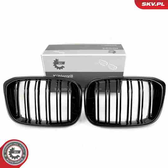 66SKV261 - Radiator Grille 