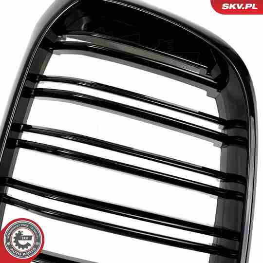 66SKV261 - Radiator Grille 