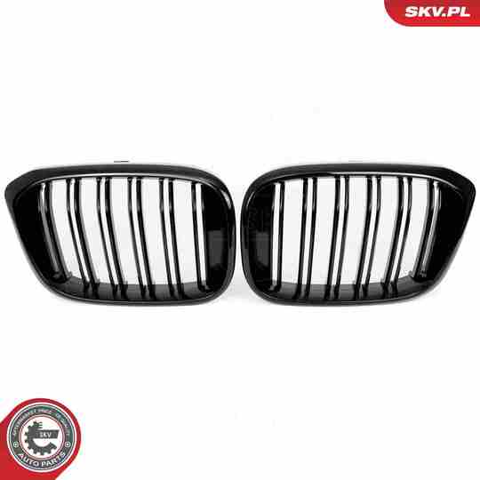 66SKV261 - Radiator Grille 