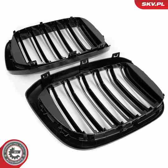 66SKV261 - Radiator Grille 