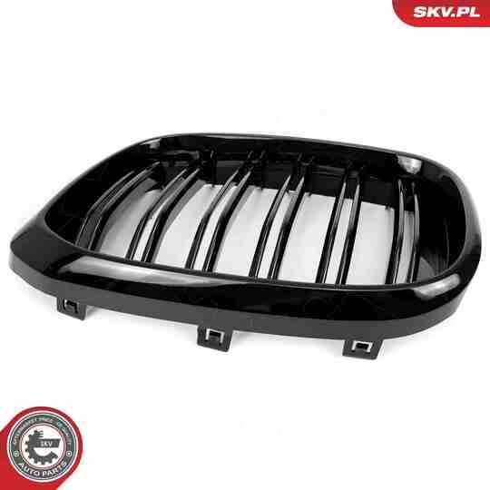 66SKV261 - Radiator Grille 