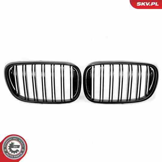 66SKV223 - Radiator Grille 