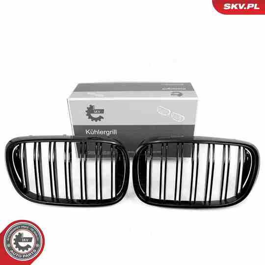 66SKV223 - Radiator Grille 