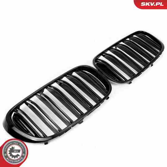 66SKV223 - Radiator Grille 