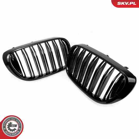 66SKV223 - Radiator Grille 