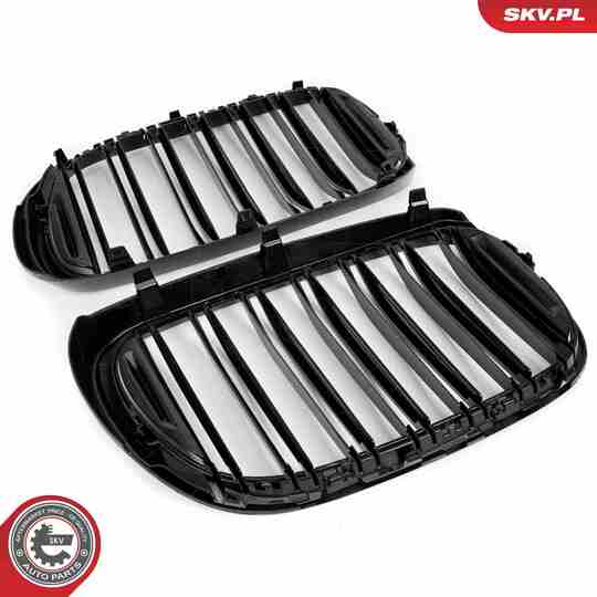 66SKV223 - Radiator Grille 