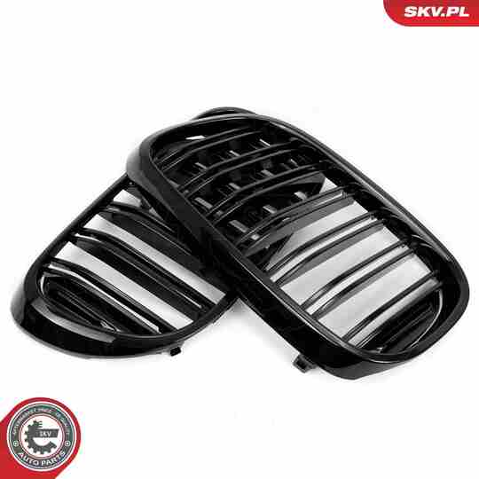 66SKV223 - Radiator Grille 