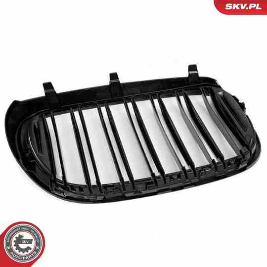 66SKV223 - Radiator Grille 