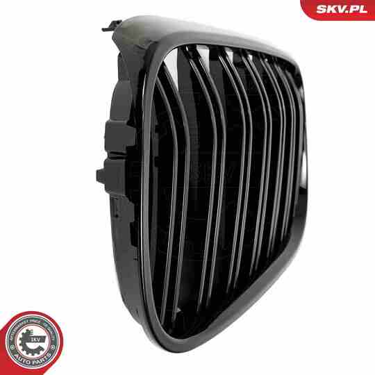 66SKV223 - Radiator Grille 